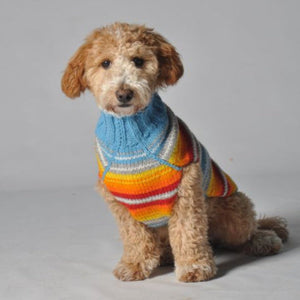 Dog wearing a colorful striped sweater on a plain background