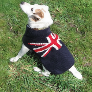Dog wearing a sweater with a Union Jack design sitting on grass
