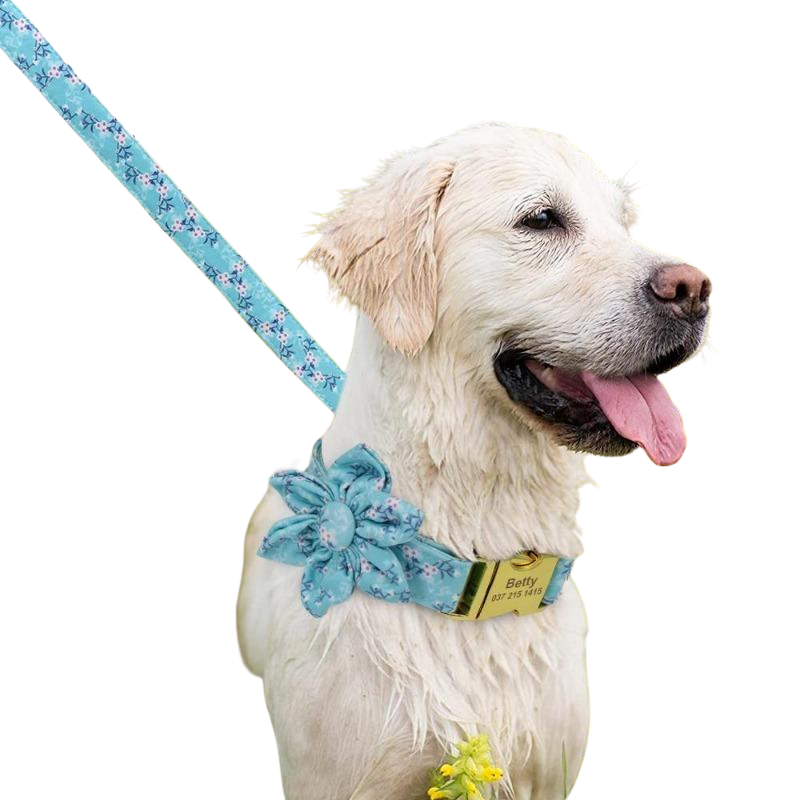 From classic vintage roses to delightful daisies, your dog fashionista will look darling in our floral collection of vibrant flower collar sets that celebrate spring and summertime garden blooms.
