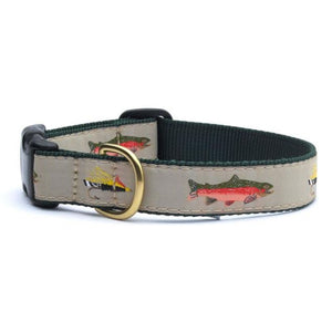 Up Country Fly Fishing Dog Collar features red-bellied trout and fly fish hooks.