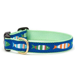Up Country Funky Fish Dog Collar is blue with mulitcolored fish pattern and light green trim accents