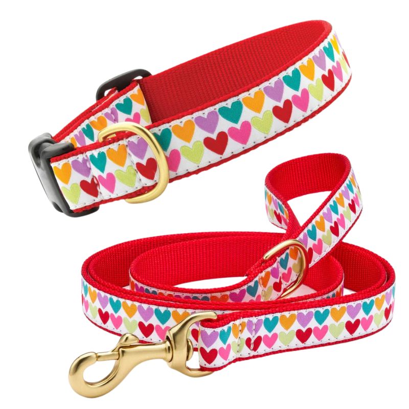 Up Country Pop Hearts Dog Collar & Leash Matching Set