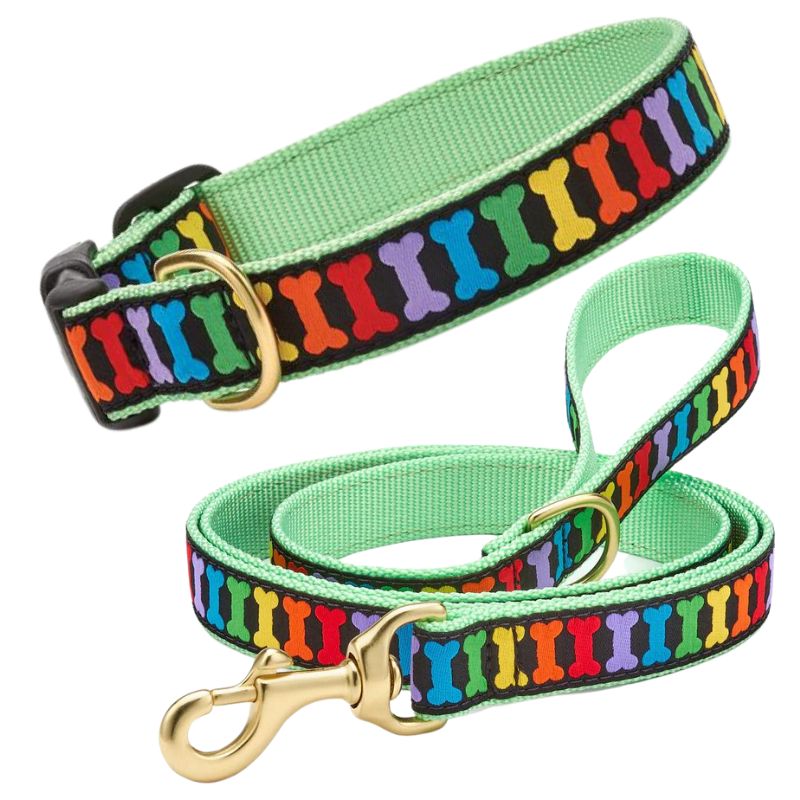 Rainbow dog best sale collar and leash