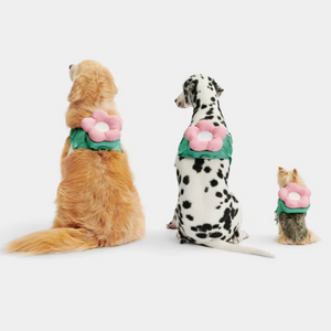 Golden retriever, Dalamation and Yorkie in 3-in-1 flower backpack harness set.