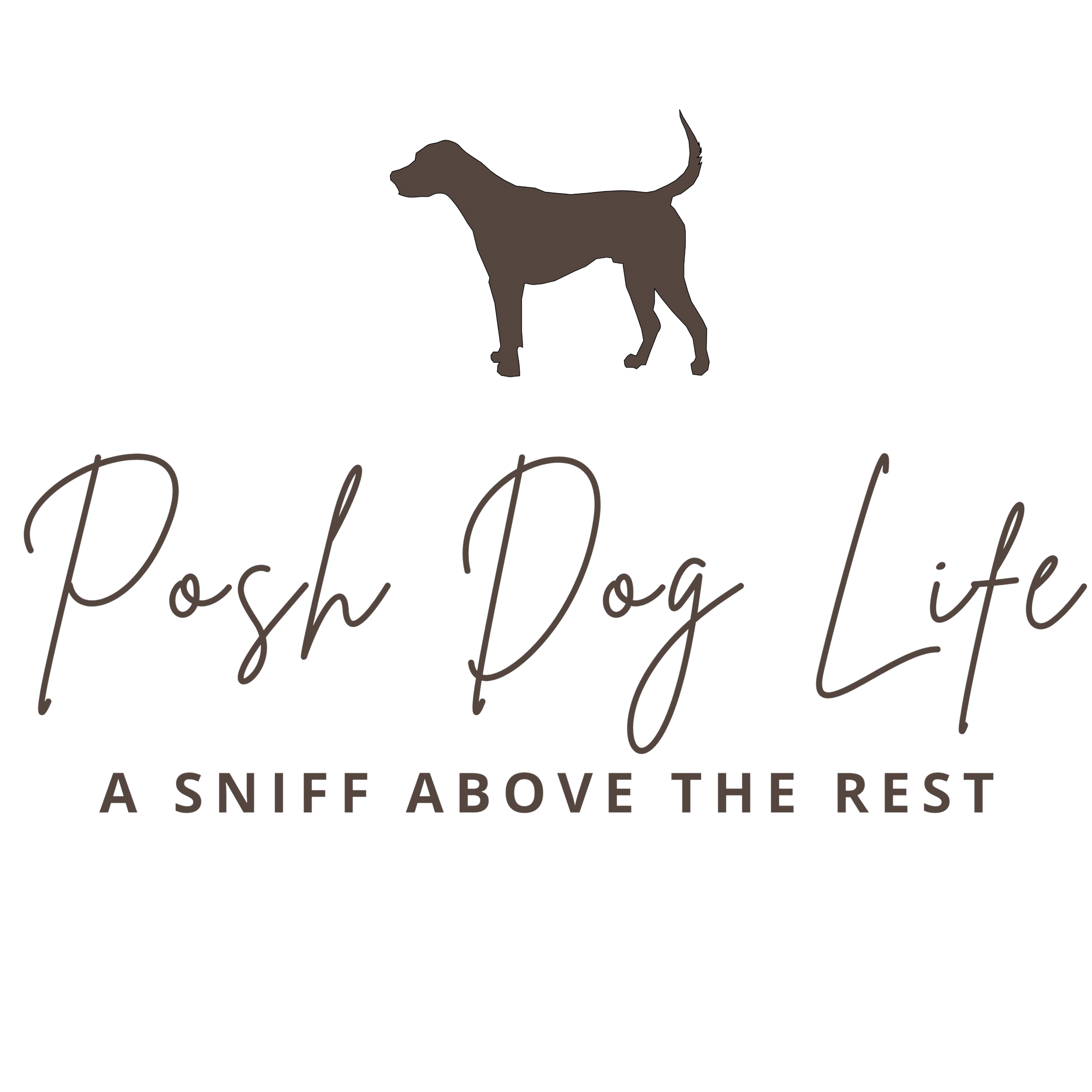 Posh Dog Life A Sniff Above the Rest Chic Dog Apparel