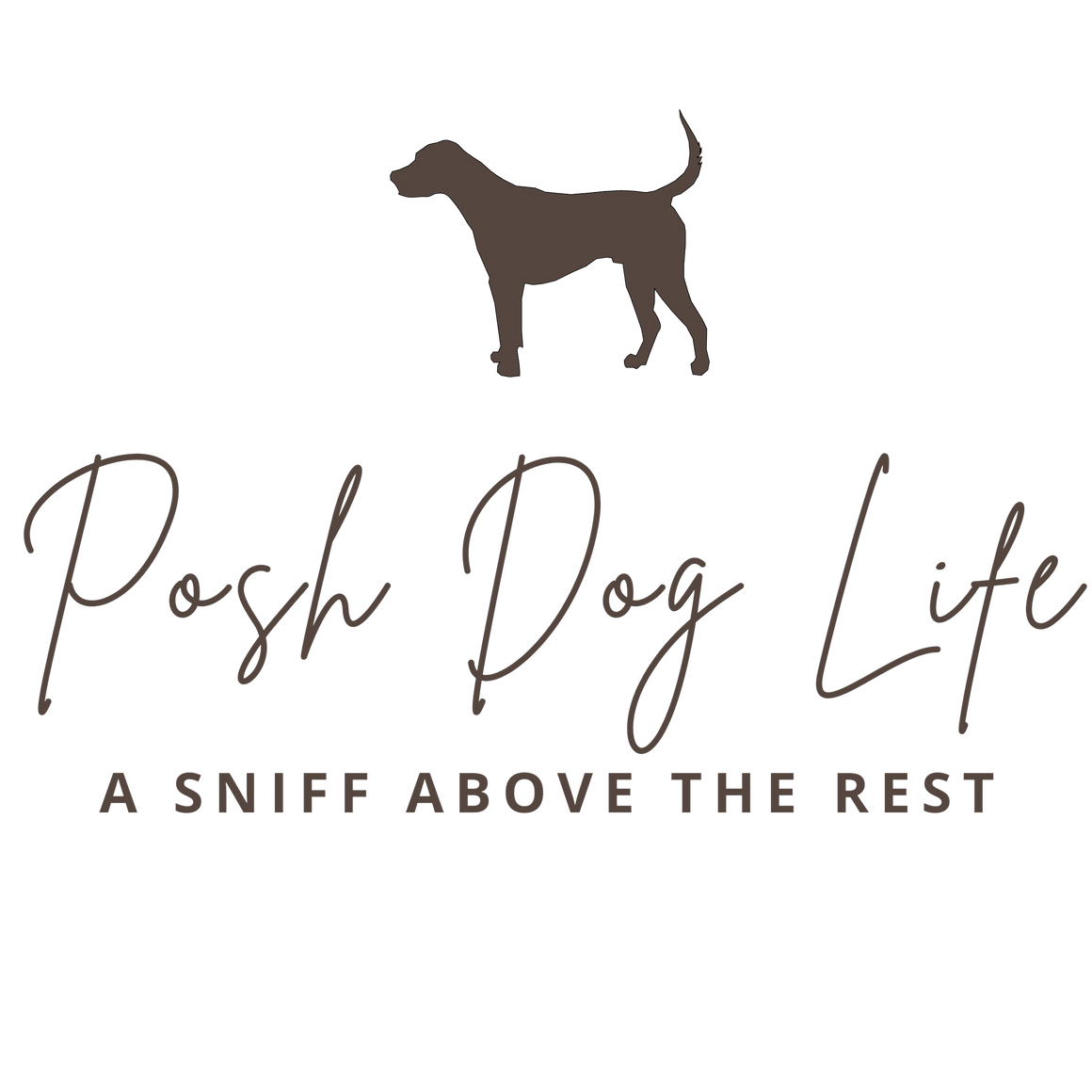 Posh Dog Life | A Sniff Above the Rest