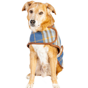A tan and white dog wearing a blue plaid pet coat with brown trim, sitting against a solid white background.