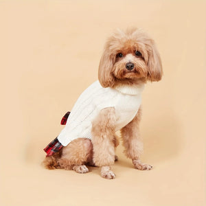 Dog wearing a white sweater with a red plaid bow tie on a beige background