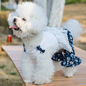 White dog wearing a floral romper sitting on a wooden bench outdoors.