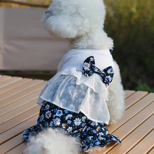 White dog wearing a wite floral romper with a bow on a wooden surface