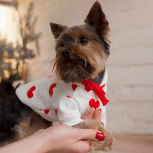 Yorkie in Hearts Dog Hoodie