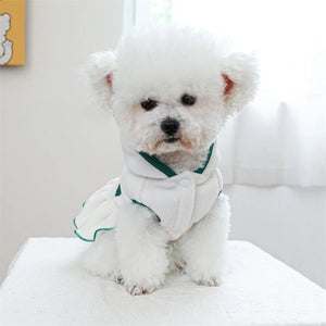 Bichon Frise wearing White Tennis Dog Dress