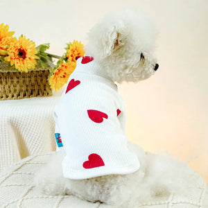 Bichon in White Valentine Heart Ribbed Dog Shirt