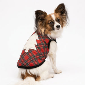 Red plaid dog shirt with a white Christmas tree design on a Pomeranian.