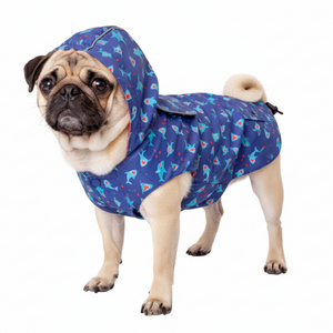 Pug wearing a navy blue raincoat with shark pattern on a white background