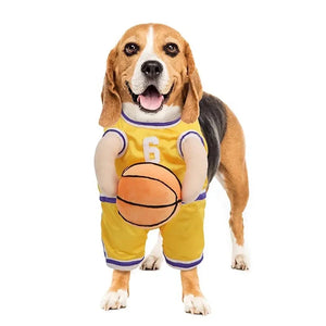 Dog wearing a yellow basketball jersey holding a basketball on a white background