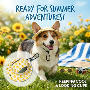 Corgi wearing a sun hat with text 'Ready for Summer Adventures!' and 'Keeping Cool & Looking Cute' in a garden setting.