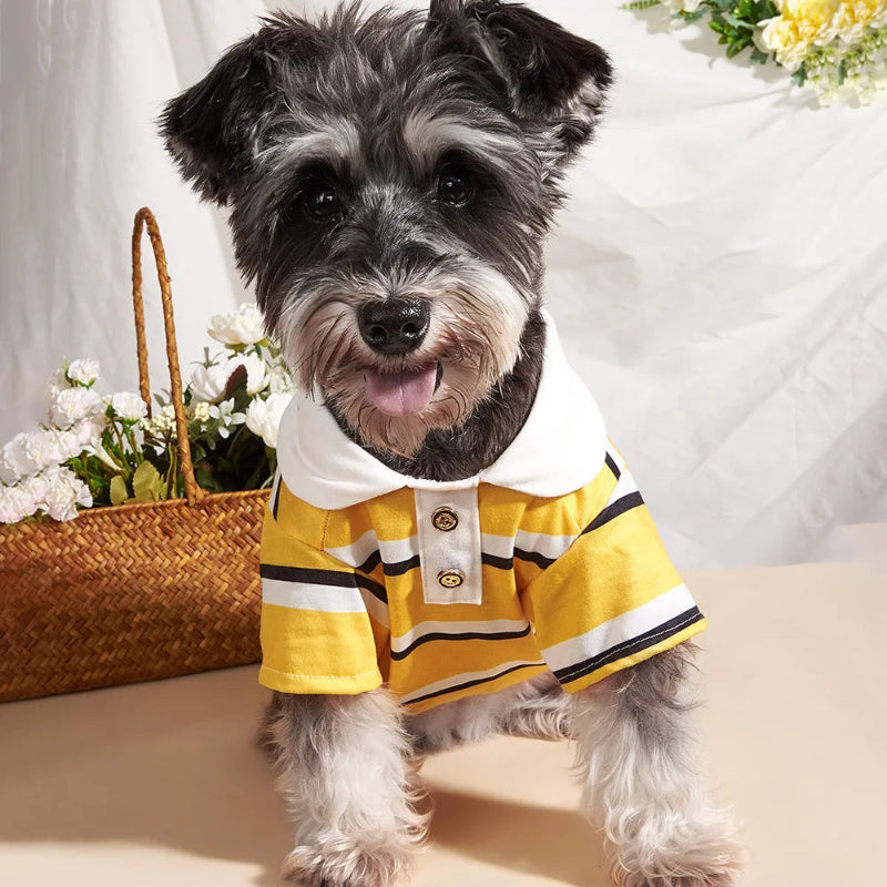 Yellow Striped Polo Dog Shirt