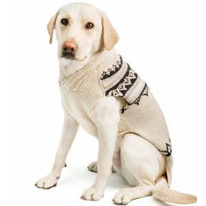 Dog wearing a knitted sweater with a pattern on a white background