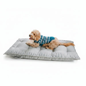 Dog wearing a teal sweater on a gray dog bed.