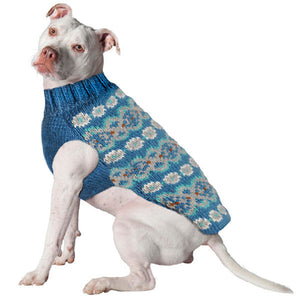 A white pitbull-type dog wearing a blue knitted sweater with a white and light teal floral pattern, shown against a plain white background.