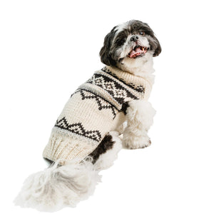 A small black and white dog wearing a cream knit sweater with a dark geometric pattern, photographed against a plain white background.