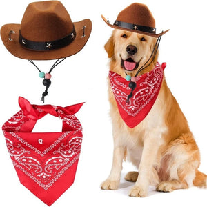 Dog wearing a cowboy hat and red bandana with a matching bandana on a white background