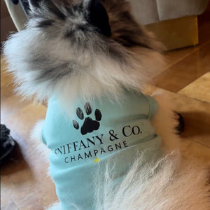 Pomeranian wearing blue Tiffany parody dog T-shirt