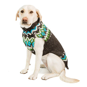 Dog wearing a patterned sweater on a white background
