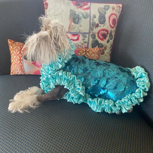 Dog modeling Shimmering Blue Dog Party Dress