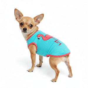 Small dog wearing a turquoise shirt with a pink flamingo design on a white background