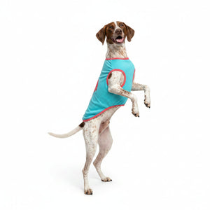 Pointer wearing blue pet shirt with a pink flamingo design on a white background