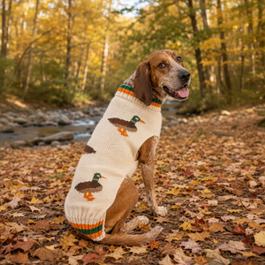 A brown hound dog wearing a cream knit sweater with duck motifs sits on a leaf-covered ground in an autumn outdoor setting.