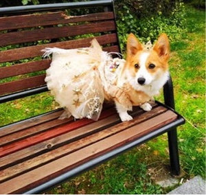 Designer Handmade "Madeleine" Dog Party Dress