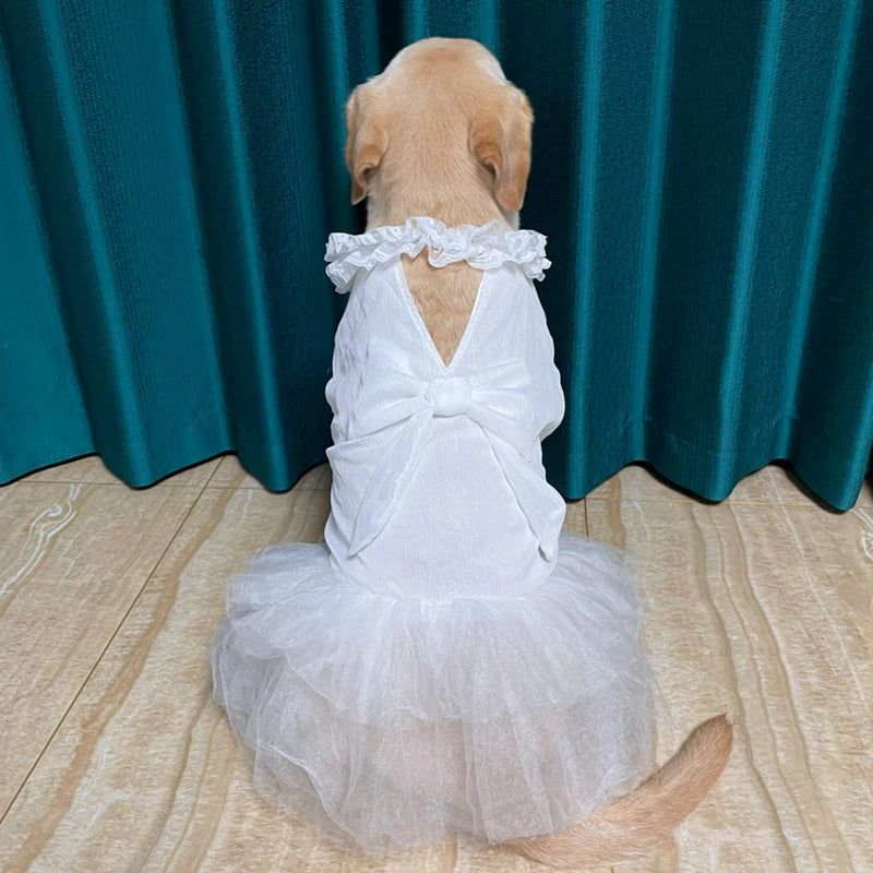 Yellow lab wearing Large Dog Wedding Dress in white has a white bow on the back