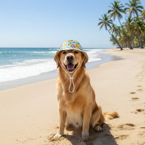 Colorful bucket hat with beach-themed design on a Golden Retreiver