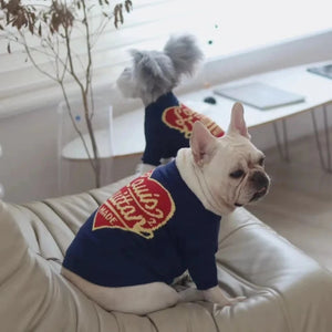 Dogs wearing Louis Vuitton-Inspired Designer Dog Sweater.