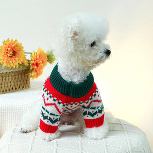 Poodle in Christmas Dog Sweater