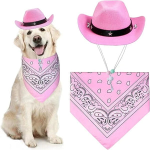Dog wearing a pink cowboy hat and bandana with a close-up of the hat and bandana on a white background.