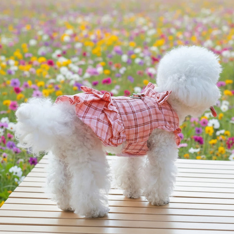 Small white dog wearing a pink plaid dress on a wooden picnic table by a field of flowers