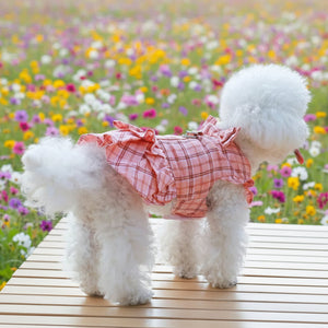 Small white dog wearing a pink plaid dress on a wooden picnic table by a field of flowers