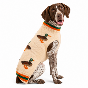 A dog wearing a knitted sweater with a duck pattern, photographed against a plain white background.