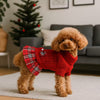 Poodle in red Christmas sweater dress in living room in front of Christmas tree