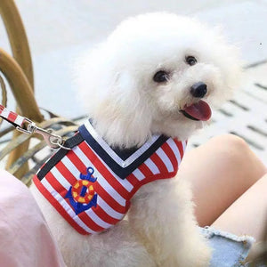 Poodle wearing red stripe Sailor Dog Harness & Leash Set