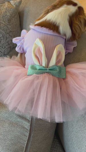 Dog in a Easter bunny tutu dress next to a basket of Easter eggs outdoors