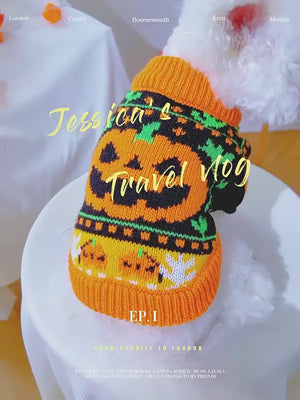 Video showing Bichon Frise wearing Halloween Pumpkin Dog sweater