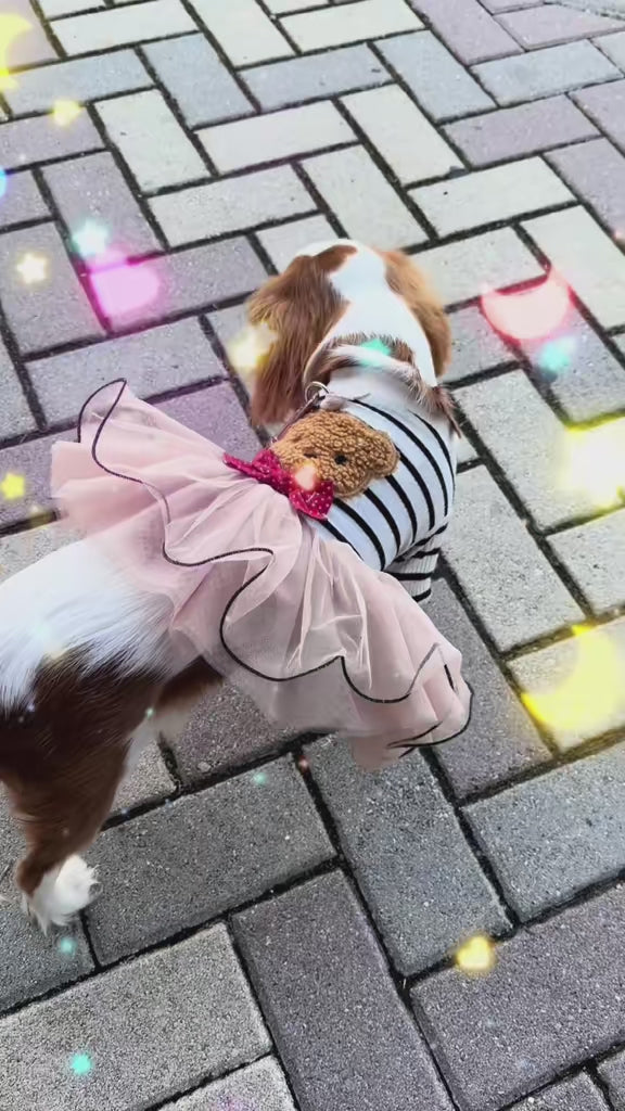 Striped Teddy Bear Dog Dress