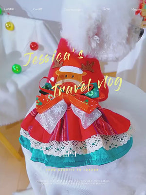 Bichon Frise modeling Red Reindeer Chrismas dress