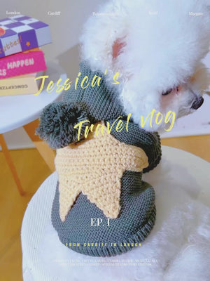 Video showing Bichon wearing Gray dog sweater with gold star