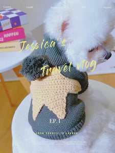 Video showing Bichon wearing Gray dog sweater with gold star